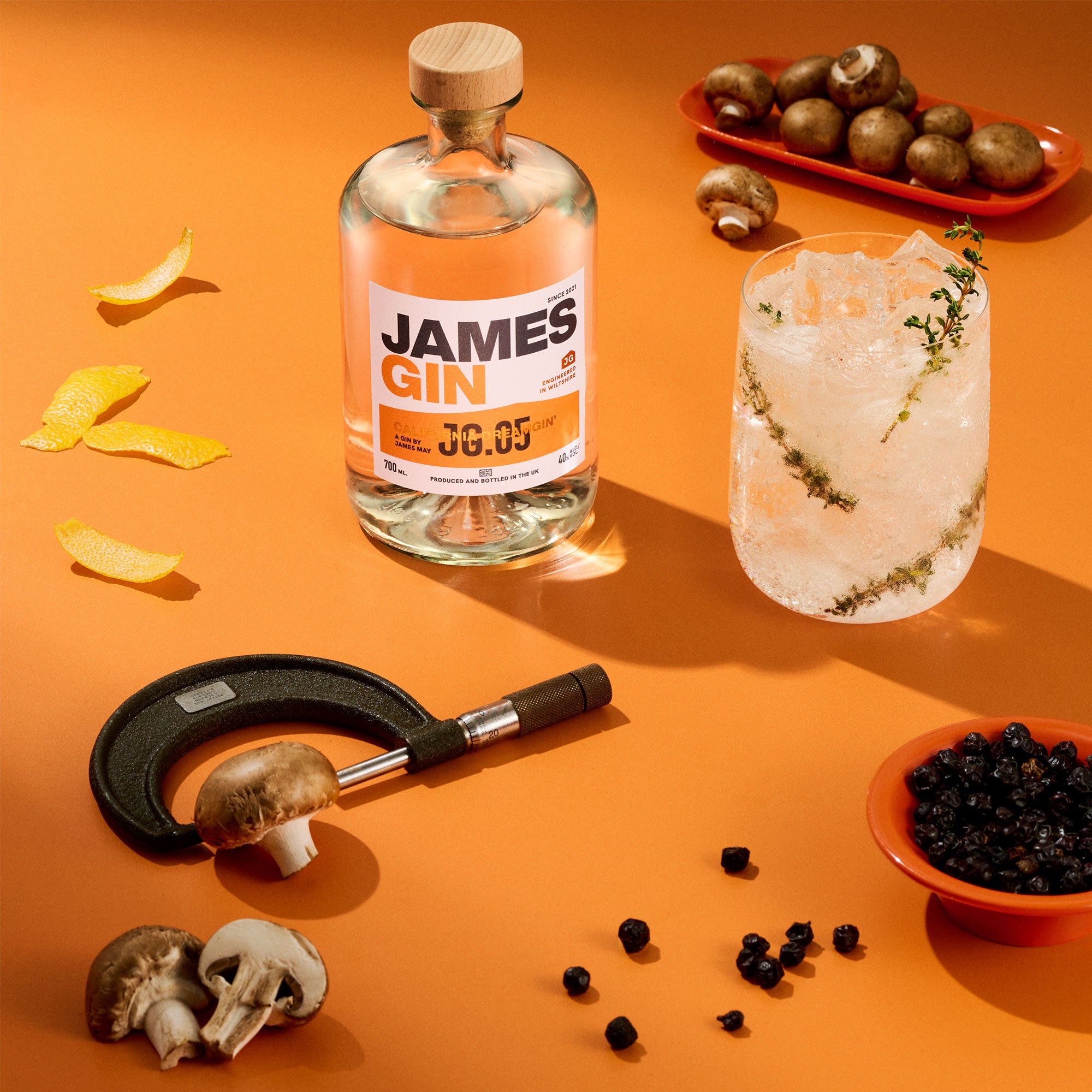 California Dreamgin'